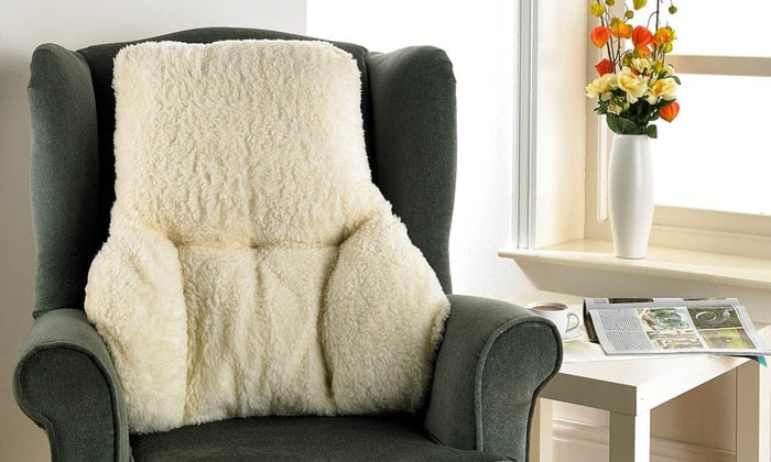 NHS Back Support Lumbar Cushion Pillow