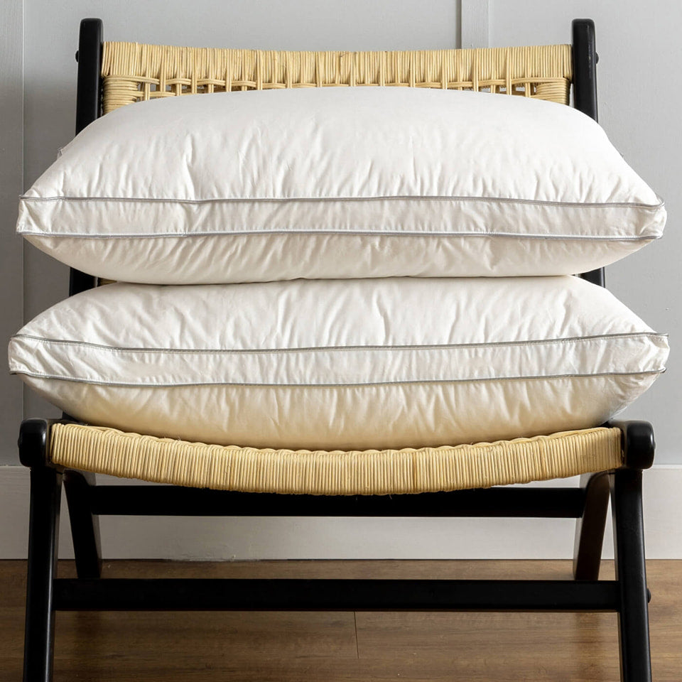 Luxury 8cm Box Pillow Pair Medium/Firm Cotton with Piped Edging