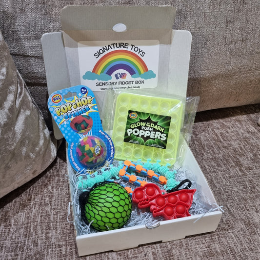 Sensory Fidget Box (age 5+)