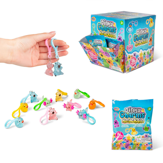 *NEW* HGL Dinky Charms Keychain